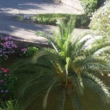 Holiday home Punta Bianca *